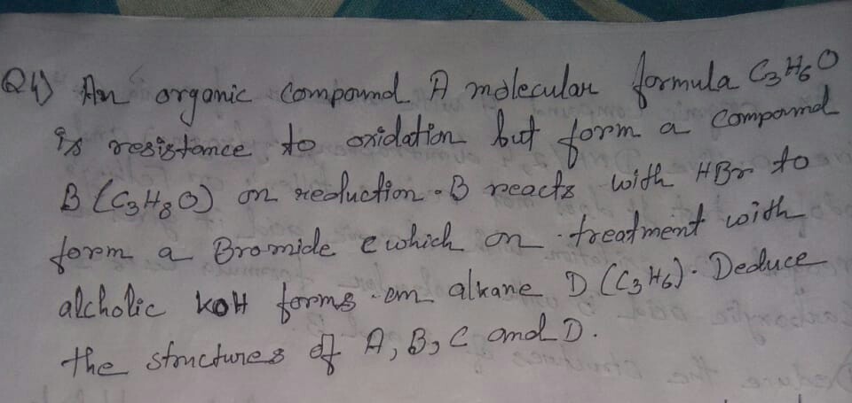 Question image for Plz plz plz plz plz plz plz plz plz plz give me f